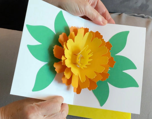 3D Tulip Flower - F104