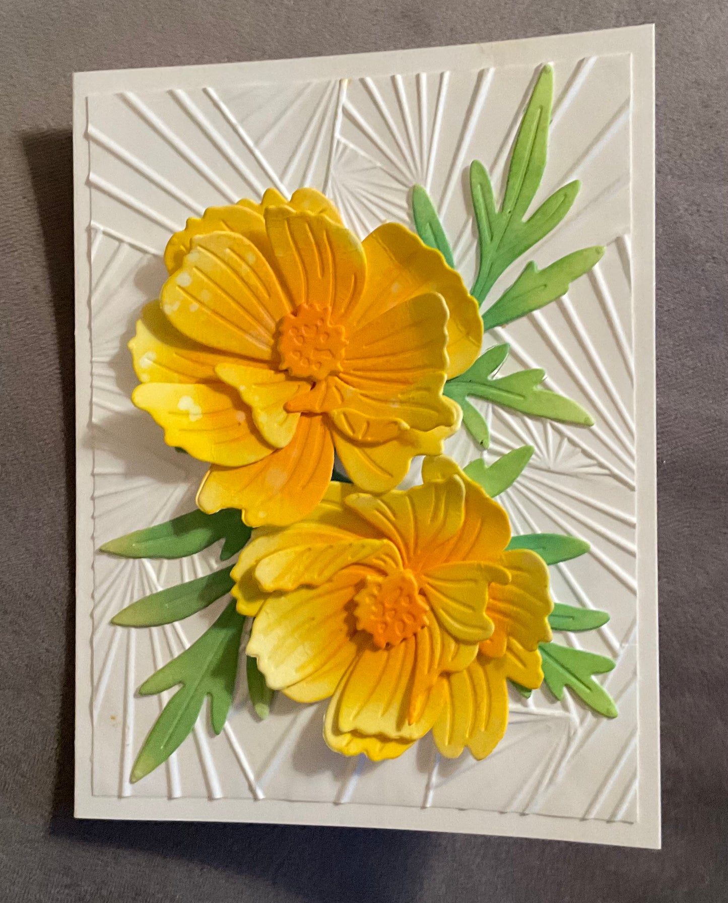 Yellow Sulfur Cosmos Flowers - F105